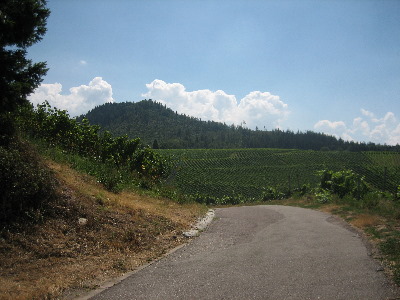 Foto 50